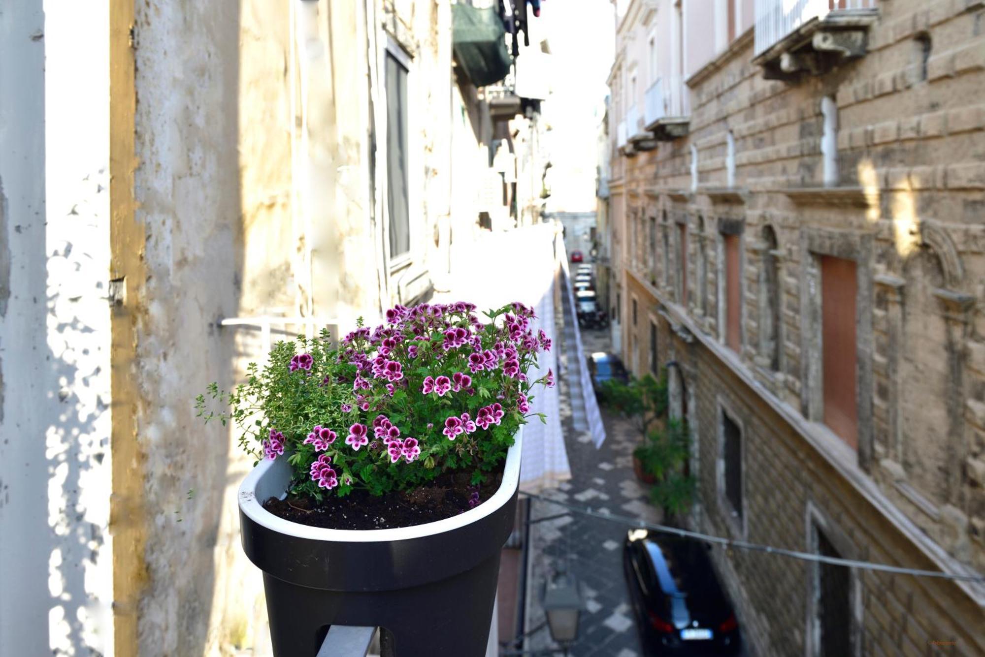 Ciaobari Apartment - Elegant 4 Bedrooms In The Heart Of Old Town Exteriér fotografie